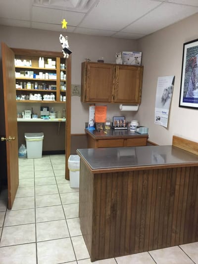 Clean veterinary examination room at Tri-State Vet